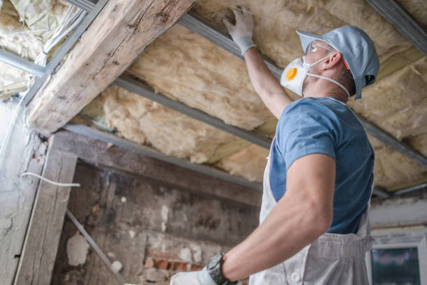 Best Soundproof Insulation Installation  in Cleona, PA