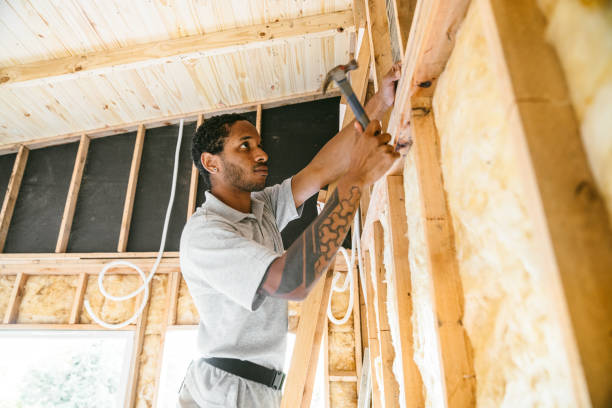 Best Local Insulation Services  in Cleona, PA