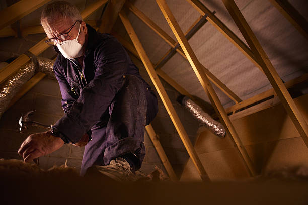 Best Insulation Inspection Services  in Cleona, PA